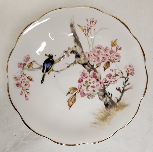 Queen Anne Floral Teacup & Saucer Set - Picture 7 of 11